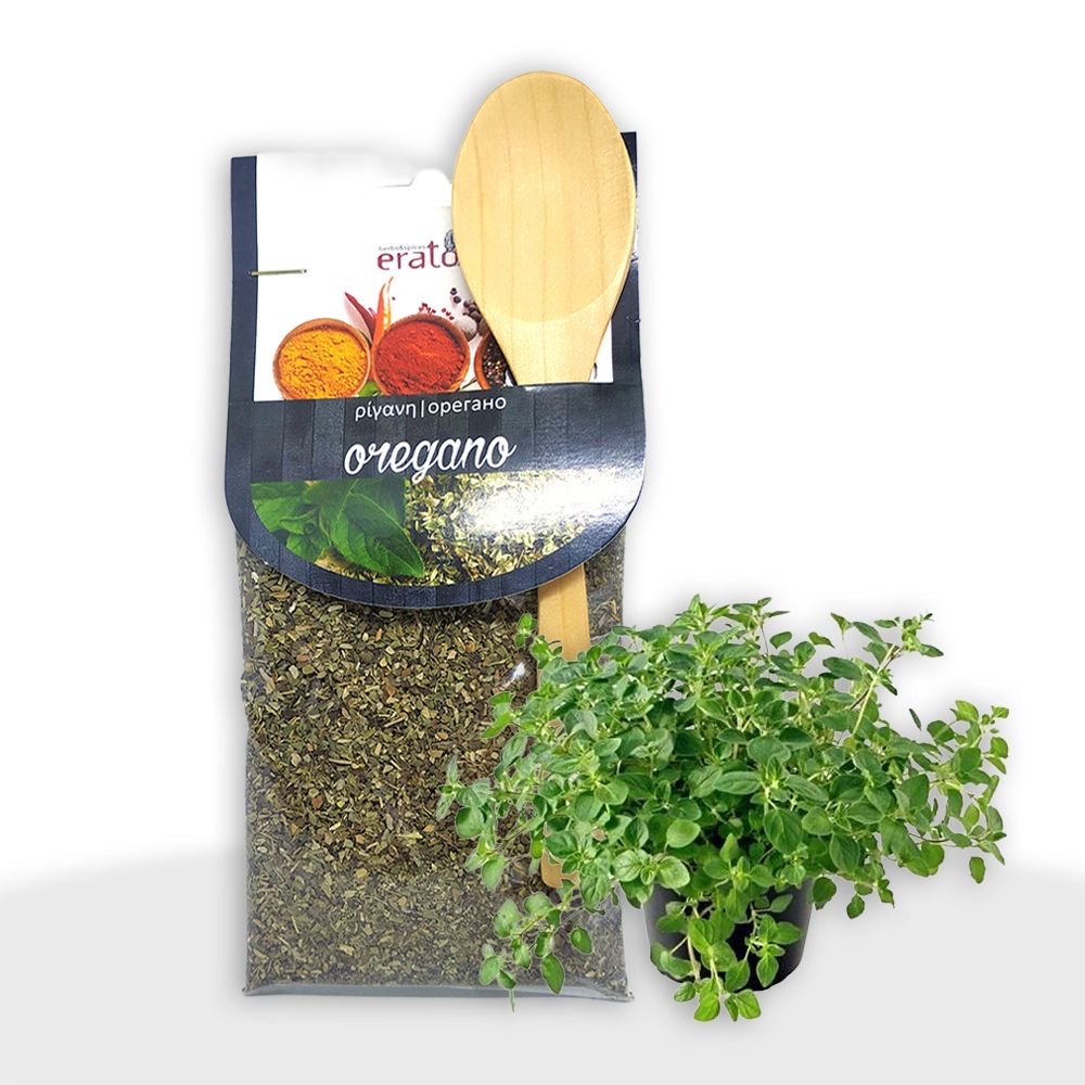 Oregano